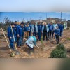 برگزاری مراسم روز درختکاری در شرکت آهن و فولاد ارفع