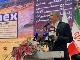 انارکی محمدی: تکمیل زنجیره ارزش معادن کرمان باید در اولویت توسعه صنعتی قرار گیرد